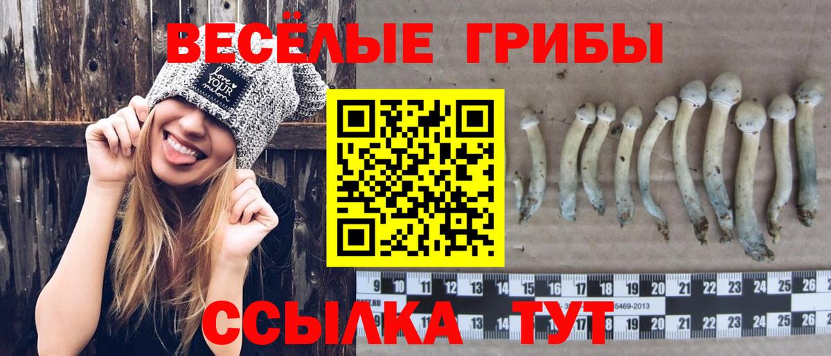 Павловский Посад  продажа наркотиков  Вход с VPN  Псилоцибиновые грибы Magic Shrooms 