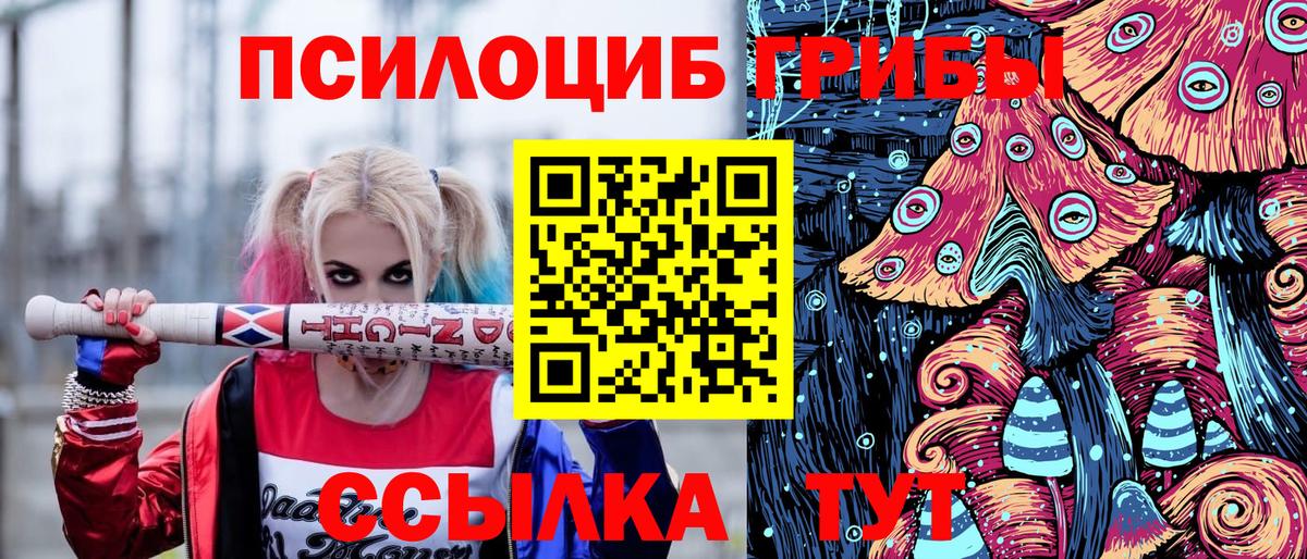 Галлюциногенные грибы Psilocybine cubensis Павловский Посад